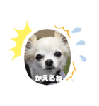 帰りま～うに（個別スタンプ：7）