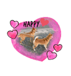 lovelyわんわん（個別スタンプ：1）