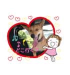 lovelyわんわん（個別スタンプ：2）