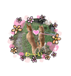 lovelyわんわん（個別スタンプ：8）