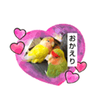 kawafamily26（個別スタンプ：9）