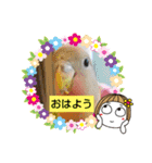 kawafamily26（個別スタンプ：16）