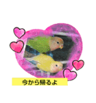 kawafamily26（個別スタンプ：17）