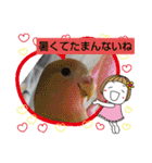 kawafamily26（個別スタンプ：21）
