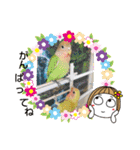 kawafamily26（個別スタンプ：23）