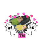 kawafamily26（個別スタンプ：24）