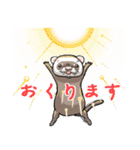 フェレット平八  夏 ferret heihachi（個別スタンプ：24）