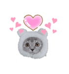 ラブラブねこーん＆白いこねこーん（個別スタンプ：1）
