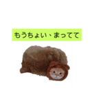 ラブラブねこーん＆白いこねこーん（個別スタンプ：6）