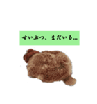 ラブラブねこーん＆白いこねこーん（個別スタンプ：7）