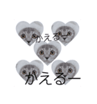 ラブラブねこーん＆白いこねこーん（個別スタンプ：8）