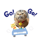 我が家にゃん（個別スタンプ：1）