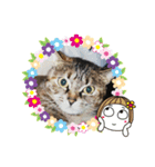 我が家にゃん（個別スタンプ：5）