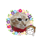 我が家にゃん2（個別スタンプ：2）