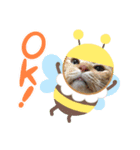 我が家にゃん2（個別スタンプ：3）