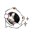 我が家にゃん2（個別スタンプ：4）