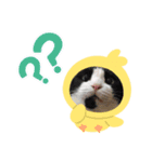 我が家にゃん2（個別スタンプ：7）