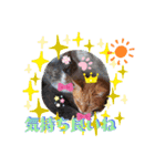 hinako's zoo（個別スタンプ：4）