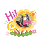 hinako's zoo（個別スタンプ：6）