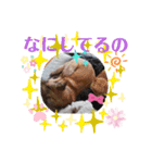 hinako's zoo（個別スタンプ：8）