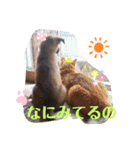 hinako's zoo（個別スタンプ：21）