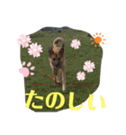 hinako's zoo（個別スタンプ：23）