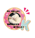nyanダフル（個別スタンプ：1）