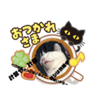 nyanダフル（個別スタンプ：4）