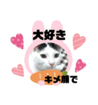 nyanダフル（個別スタンプ：6）