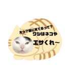 nyanダフル（個別スタンプ：9）