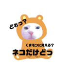 nyanダフル（個別スタンプ：12）