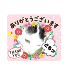nyanダフル（個別スタンプ：13）