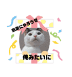nyanダフル（個別スタンプ：16）