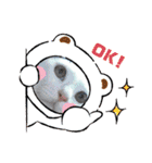 nyanダフル（個別スタンプ：23）