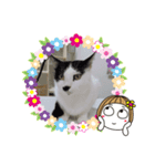 トラチワちゃん♪♡☆（個別スタンプ：5）