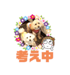 トイプードルのマルフィオ＆パルピノ（個別スタンプ：24）
