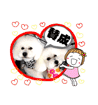 トイプードルのマルフィオ＆パルピノ（個別スタンプ：26）