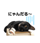 黒猫にゃんこのろく（個別スタンプ：5）