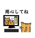 学生猫の呟きスタンプ（個別スタンプ：5）