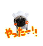 パグのぱんく2（個別スタンプ：3）