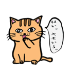 サバ猫（個別スタンプ：1）