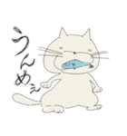 離れ目のにゃんこ（個別スタンプ：4）