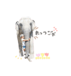 ひゅまくんすた（個別スタンプ：33）