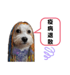 マルックス♪アンディ ノンちゃん友情出演（個別スタンプ：14）