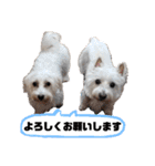 マルックス♪アンディ ノンちゃん友情出演（個別スタンプ：28）