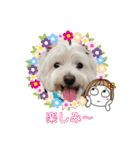 マルックス♪アンディ ノンちゃん友情出演（個別スタンプ：38）