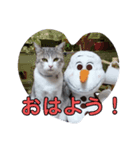 にゃーん！くーちゃんだよ！（個別スタンプ：1）