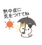 梅雨や夏に使える！みけねこスタンプ（個別スタンプ：7）