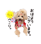 あいさつするちーくー（個別スタンプ：2）