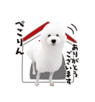 あいさつするちーくー（個別スタンプ：5）